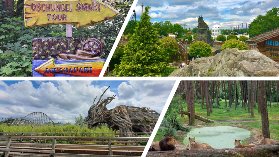 Erlebnisreiche Ferienfreizeiten – Ein Tag voller Abenteuer im Heide Park und auf Safari im Serengeti Park